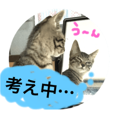 [LINEスタンプ] こゆきとちくわ