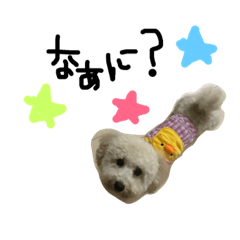 [LINEスタンプ] クリーム色のマルプー