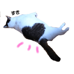 [LINEスタンプ] 幸せを運ぶ猫 コロちゃん