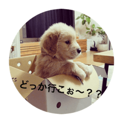 [LINEスタンプ] ふみちゃんvol.1