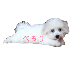 [LINEスタンプ] ビション・フリーゼのうなさん