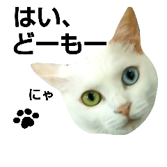 [LINEスタンプ] 猫が言うことにゃ。2