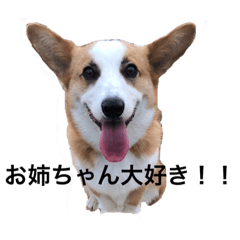 [LINEスタンプ] ストックのスタンプ2