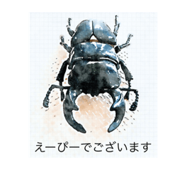 [LINEスタンプ] クワガタえーぴー