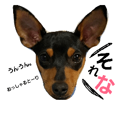 [LINEスタンプ] エイトの日常会話2