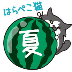 [LINEスタンプ] はらぺこ猫の夏