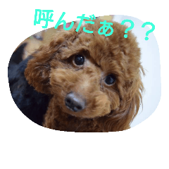 [LINEスタンプ] ♡ぽぽ♡