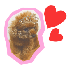 [LINEスタンプ] よく使う言葉集めました