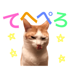 [LINEスタンプ] 日常で使える猫スタンプ2