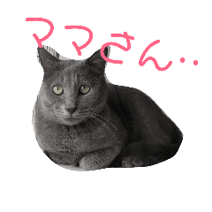 [LINEスタンプ] どぶねずみスタンプ