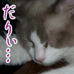 [LINEスタンプ] ふじながさんのスタンプ