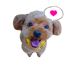 [LINEスタンプ] ぺろのちゃちゃまる