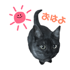 [LINEスタンプ] りりちゃん！
