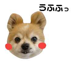 [LINEスタンプ] わんこのあしあと②