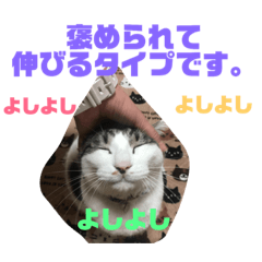 [LINEスタンプ] ころちゃん  2