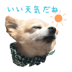 [LINEスタンプ] 源太郎のスタンプ
