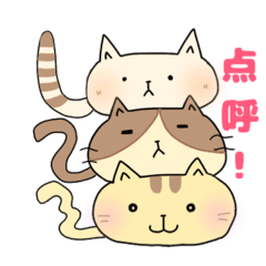 [LINEスタンプ] ねこぽ 〜カオトシッポ〜