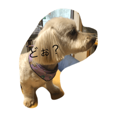 [LINEスタンプ] マメ2
