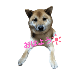 ゴン助スタンプ①