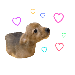 [LINEスタンプ] ちび【挨拶】