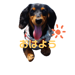 [LINEスタンプ] ミニチュアダックスポピーのお転婆スタンプ