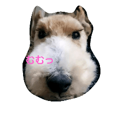 [LINEスタンプ] ワイヤーフォックステリアのまろん