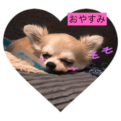 [LINEスタンプ] るぅ205