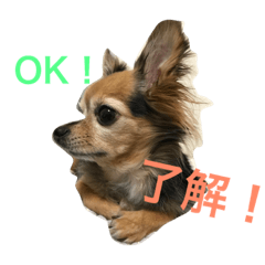 [LINEスタンプ] ぴーぷー3