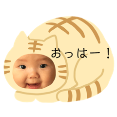 [LINEスタンプ] こたろ  1