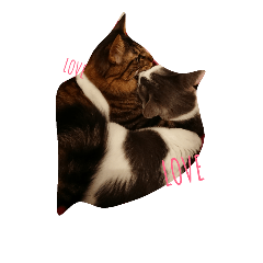 [LINEスタンプ] ニャンすたんぷ2
