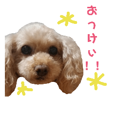 [LINEスタンプ] anico