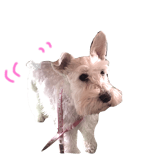 [LINEスタンプ] 座間さんズ