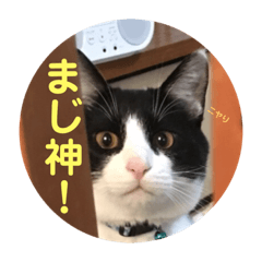 [LINEスタンプ] シーくん part2