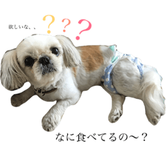 [LINEスタンプ] チーズ