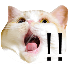 [LINEスタンプ] とろ