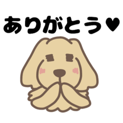 [LINEスタンプ] ポーちゃんスタンプ vol.1