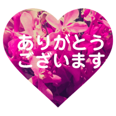 [LINEスタンプ] yoshieオリジナルスタンプ