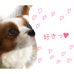 [LINEスタンプ] エルくんと時々お友達。