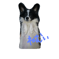 [LINEスタンプ] あいらぶこっと