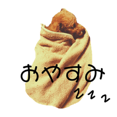 [LINEスタンプ] ロイくんの毎日