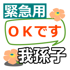 [LINEスタンプ] 取急ぎ【我孫子,あびこ,abiko】専用