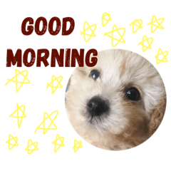[LINEスタンプ] ワンコのヒトコト