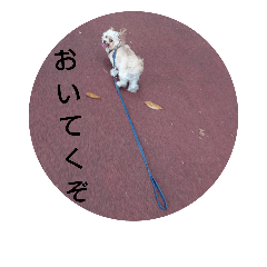 [LINEスタンプ] イヌ 3匹