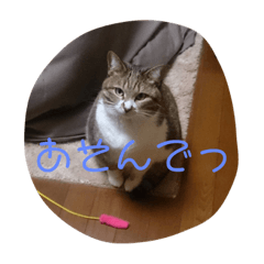 [LINEスタンプ] ミミとケビ
