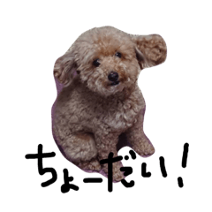 [LINEスタンプ] モフモフあいす2