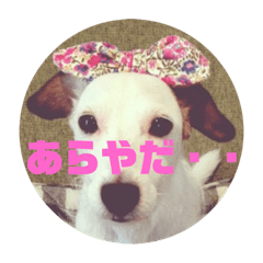 [LINEスタンプ] ジャックファミリー2