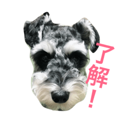 [LINEスタンプ] もずくです