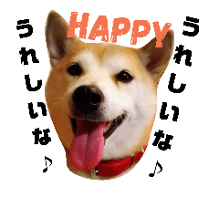[LINEスタンプ] 柴犬 まろさん