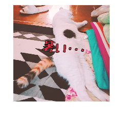 [LINEスタンプ] つくし、みけねこ