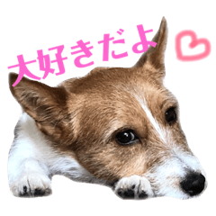[LINEスタンプ] 毎日ピース